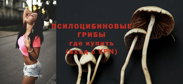 амф Красноперекопск