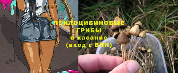 apvp Краснослободск