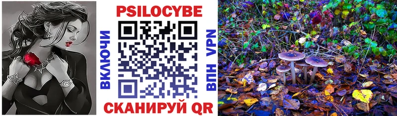 Псилоцибиновые грибы Psilocybine cubensis  Мамадыш 